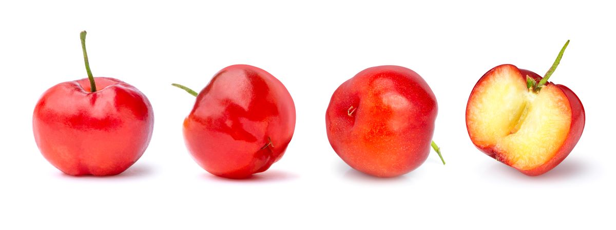 Die Kraft der Natur: Warum Acerola Pulver das ultimative Superfood ist